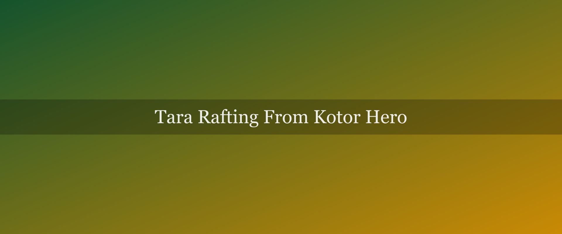 Tara rafting from Kotor: the full-day adventure